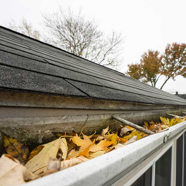 Gutter Cleaning in Morganton