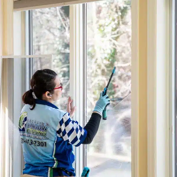 Ready for Spotless Windows