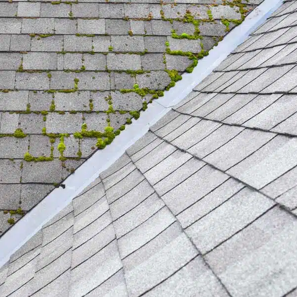 Roof Cleaning in Morganton