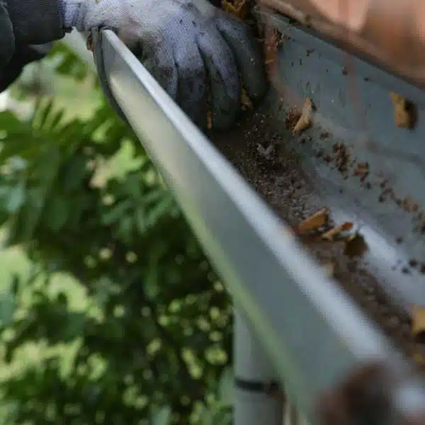 Schedule Your Gutter Cleaning Today